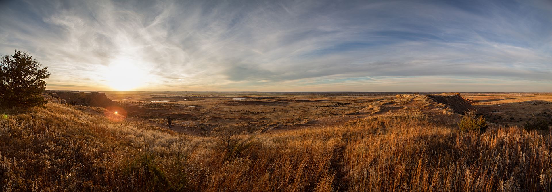prairie with blue cloudy sky